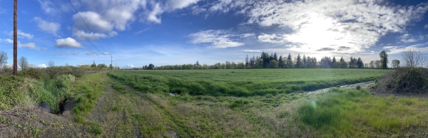 Future Home of Timberlab's Cross-Laminated Timber Facility in Millersburg